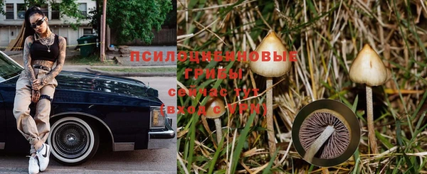 прущий лед Богданович
