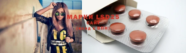 мдпв Бугульма