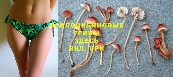 мдпв Бугульма