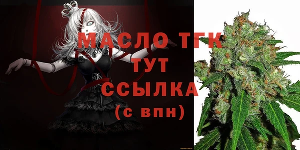 прущий лед Богданович