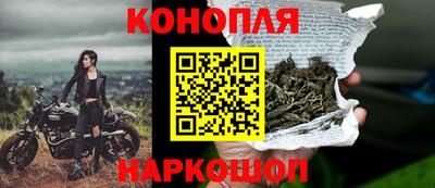 гидра Владимир