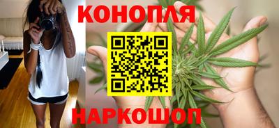 гидра Владимир