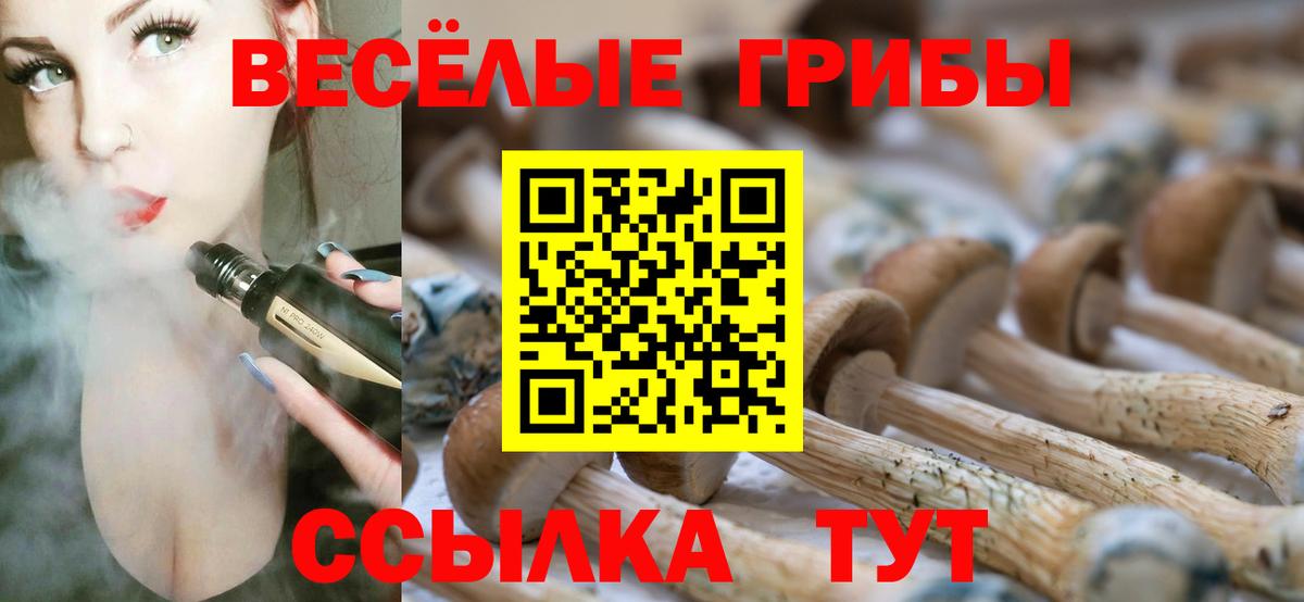 хочу   Галлюциногенные грибы Magic Shrooms  Вход с VPN  Верхняя Салда 